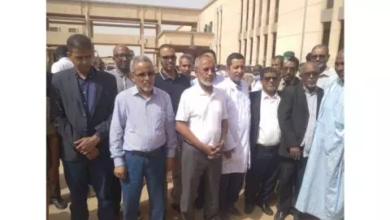 وزير الصحة يعلن انخفاض المنحنى الوبائي للملاريا: الوضع تحت السيطرة