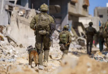 خصخصة السيطرة المدنية: مقترحات أفرايم غانور لحل أزمة غزة