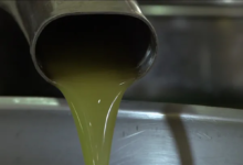 زيت الأفوكادو مقابل زيت الزيتون: أيهما الخيار الأفضل لصحتك ومطبخك؟