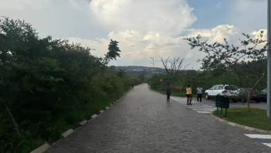 رواندا: نموذج رائد في الحفاظ على التنوع البيولوجي ودعم السياحة الخضراء