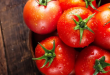 دراسة جديدة تكشف عن تأثير الكاروتينويد فيتوين في تعزيز عمر الديدان الأسطوانية ومحاربة أعراض ألزهايمر