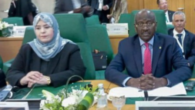 موريتانيا تستضيف 250 ألف لاجئ مالي و350-400 ألف شاب مهاجر من دول الساحل