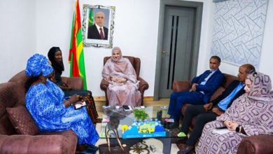 مباحثات لتعزيز التعاون بين وزارة العمل الاجتماعي ومفوضية الأمم المتحدة لحقوق الإنسان