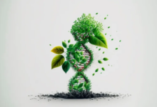 اكتشاف علمي جديد يمهد لتطوير علاج فعال لالتهابات الدماغ الناتجة عن فيروس القراد