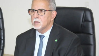 وزير الزراعة يؤكد محدودية خسائر الفيضانات ويعلن عن إجراءات للتعامل معها وتعزيز السيادة الغذائية