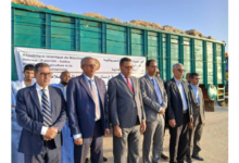 وزارة الزراعة تطلق حملة جديدة بإرسال بذور البطاطس عالية الجودة لدعم الإنتاج الزراعي في الولايات الداخلية