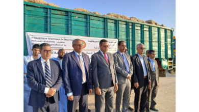 وزارة الزراعة تطلق حملة جديدة بإرسال بذور البطاطس عالية الجودة لدعم الإنتاج الزراعي في الولايات الداخلية