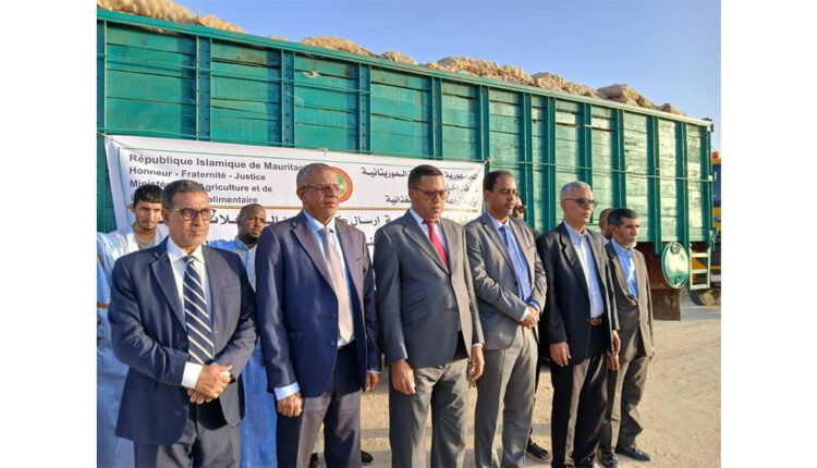 وزارة الزراعة تطلق حملة جديدة بإرسال بذور البطاطس عالية الجودة لدعم الإنتاج الزراعي في الولايات الداخلية